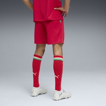 PUMA Regular Shorts 'Marokko' in Rot
