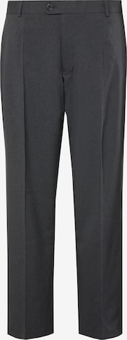 Men Plus Pleated Pants in Grey: front