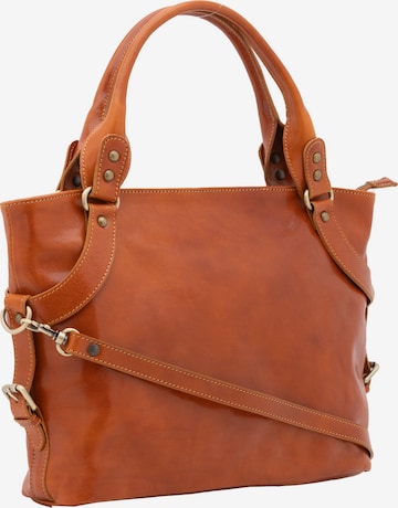 Viola Castellani Handbag in Brown: front