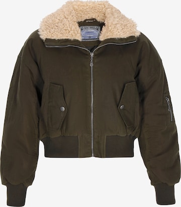 žalia DreiMaster Vintage Demisezoninė striukė: priekis