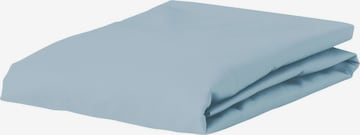 ESSENZA Bed Sheet 'Minte' in Blue: front