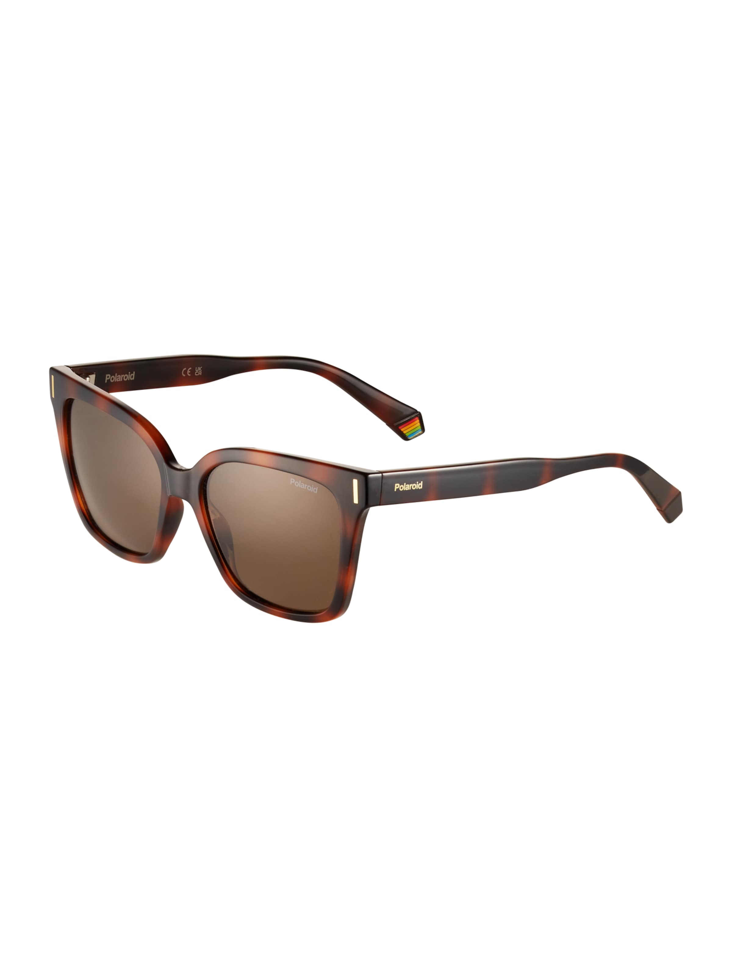 Polaroid Sunglasses '6192/S' in Brown: front