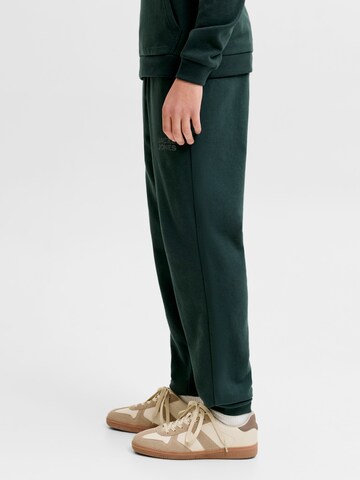 Jack & Jones Junior Tapered Bukser 'JJIGORDON' i grøn