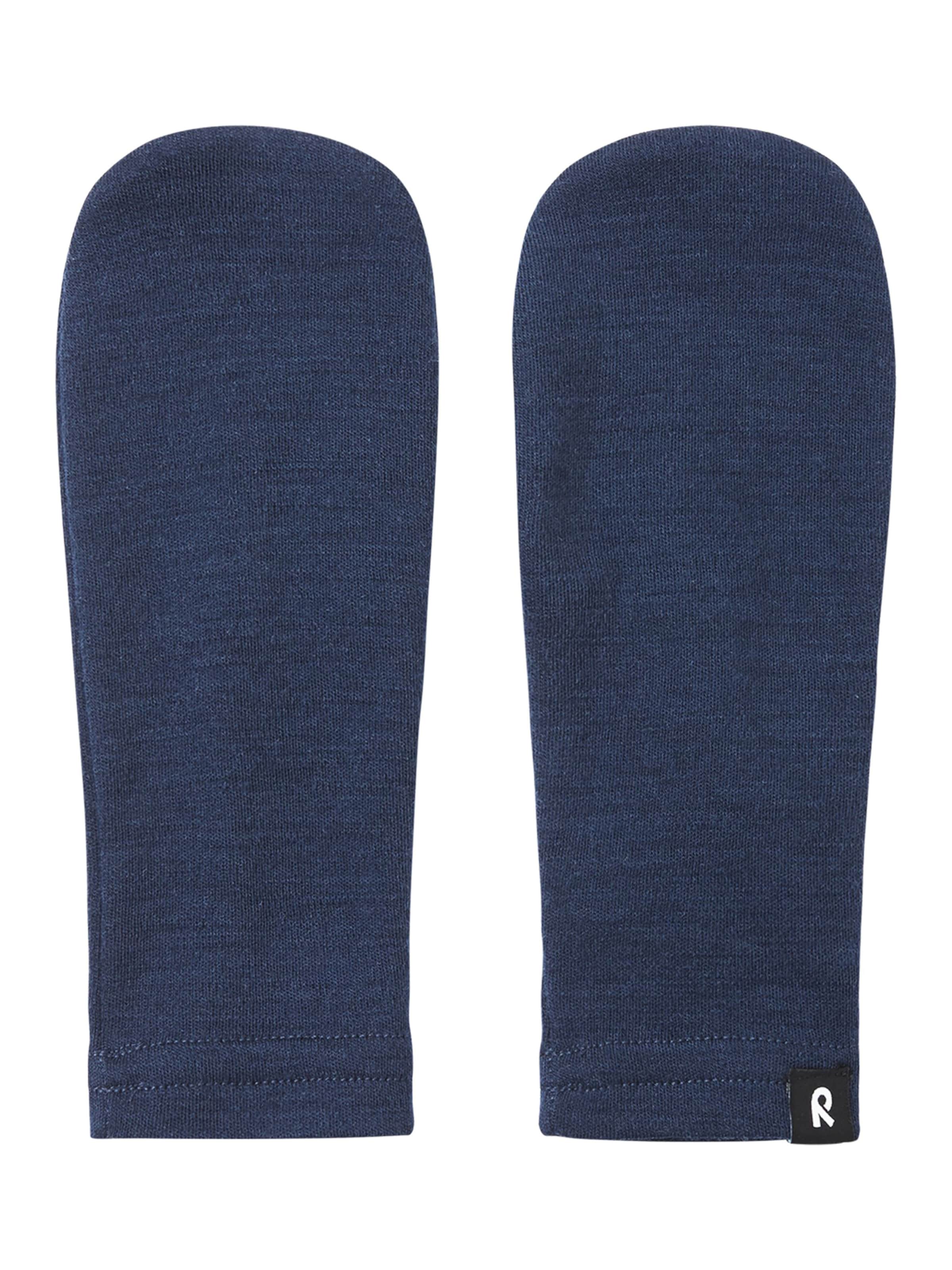 Reima Handschoenen 'Eino' in Blauw: voorkant