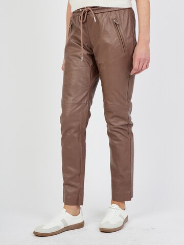 JCC Regular Trousers '3102153' in Brown
