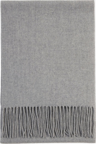 Écharpe GOBI Cashmere en gris : devant