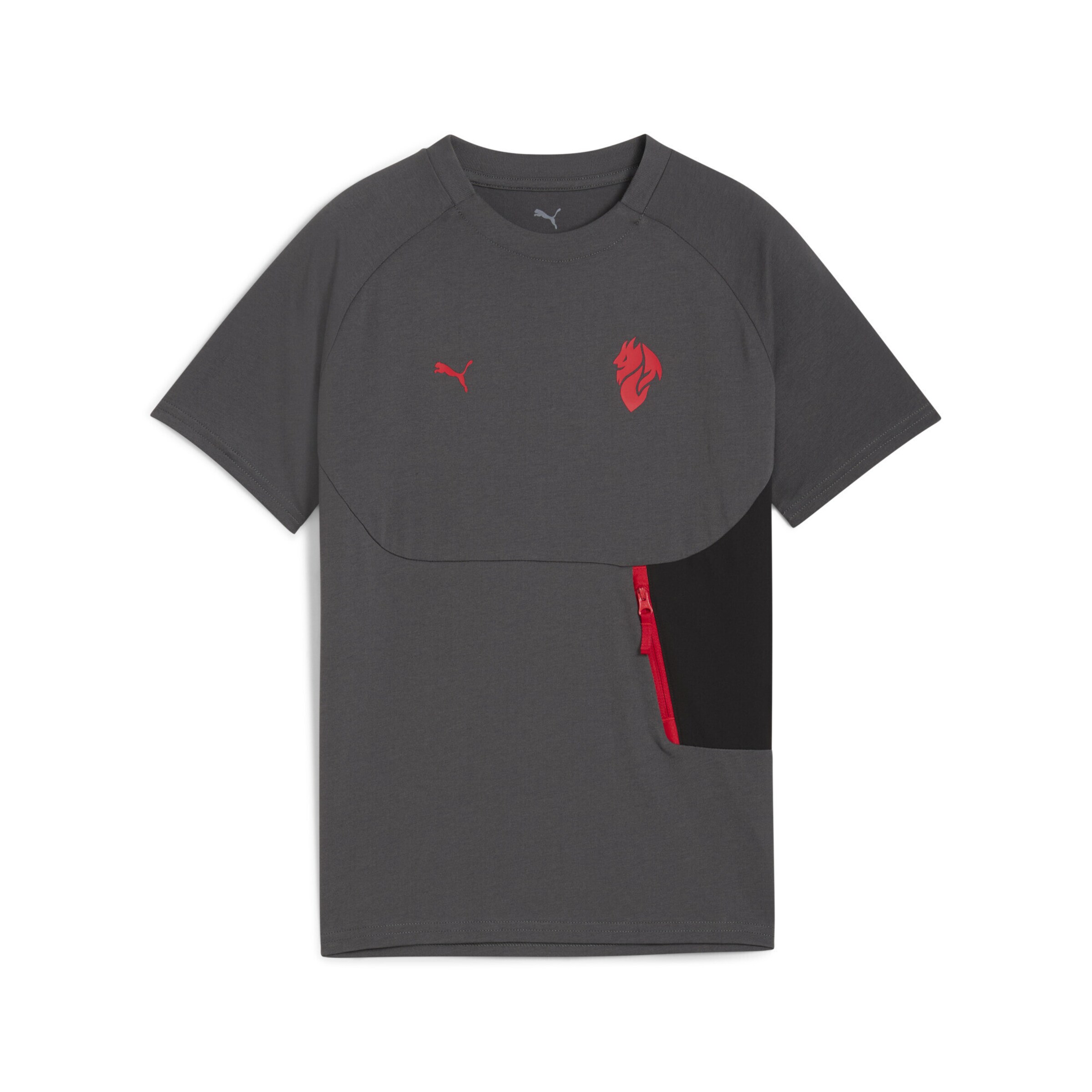 PUMA Funktionsshirt 'AC Milan Pumatech' in Grau: Vorderseite