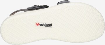 Westland Sandals 'Albi' in Silver