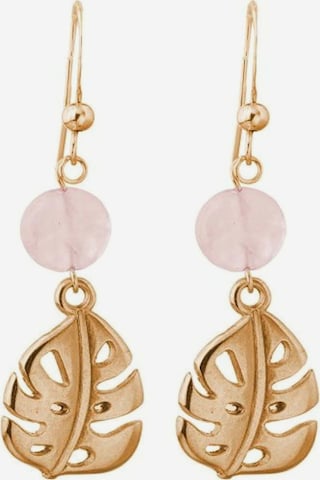 Gemshine Earrings in Gold: front