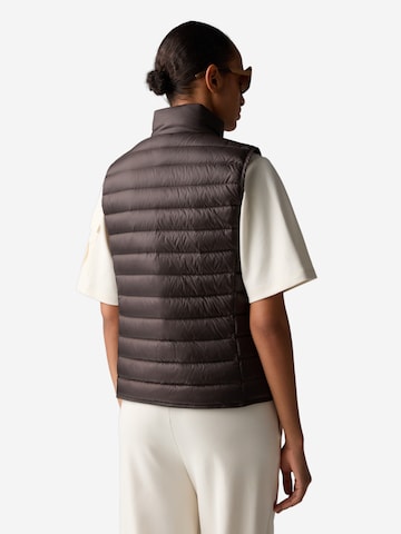 BOGNER Sports Vest in Brown