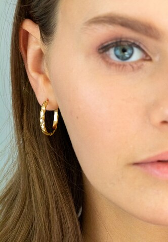 Nana Kay Earrings 'Solid Flair' in Gold: front