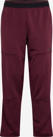 Regular Pantalon de sport 'Pro' NIKE en rouge : devant