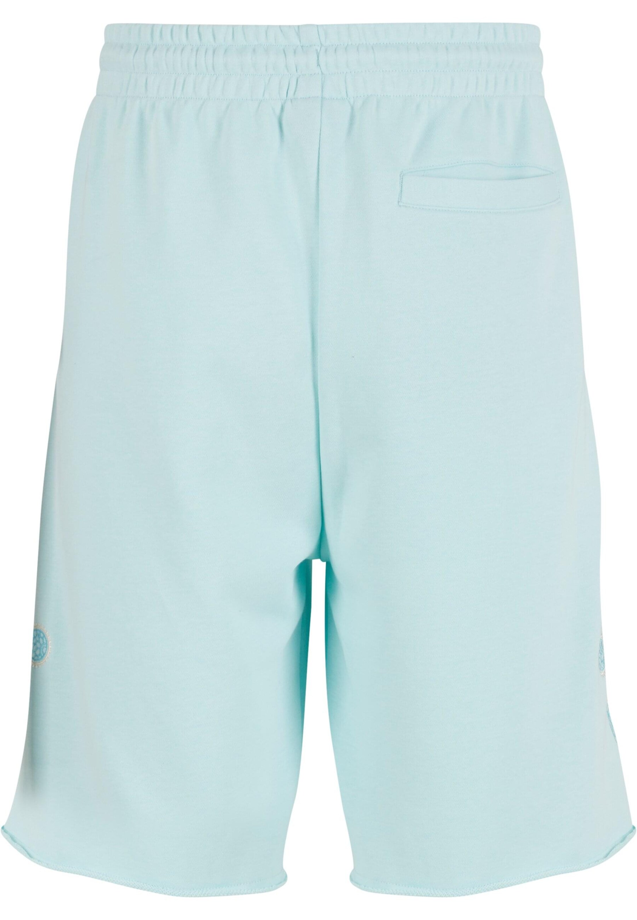 Karl Kani Свободный крой Штаны в Синий