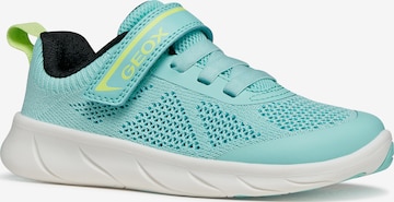 GEOX Sneakers in Blue: front