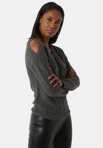 Pull-over 'Ahri' Jimmy Sanders en gris