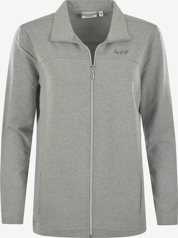 HAJO Zip-Up Hoodie in Grey: front