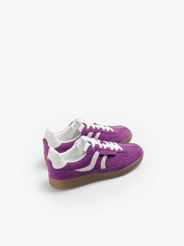 Baskets basses ' ' Scalpers en violet