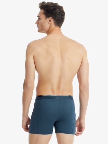 Boxers Blackspade en gris