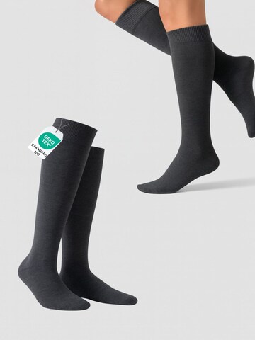 NERS Knee High Socks 'Novera' in Grey: front