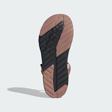 Sandales 'Hydroterra' ADIDAS TERREX en marron