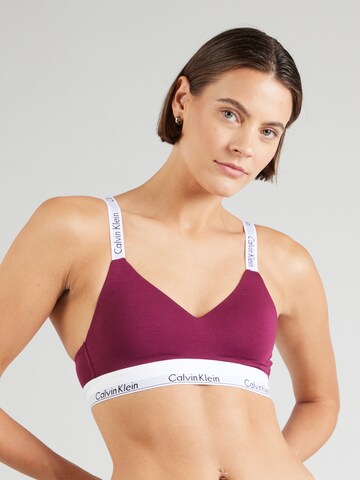Calvin Klein Underwear - Bustier Sujetador en lila: frente