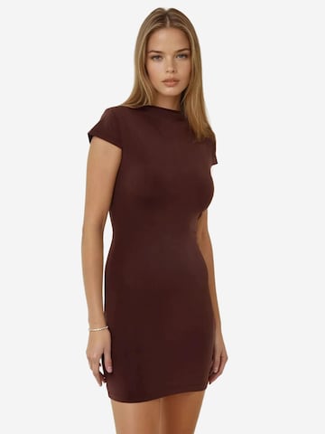 Hiccup Dress in Brown: front