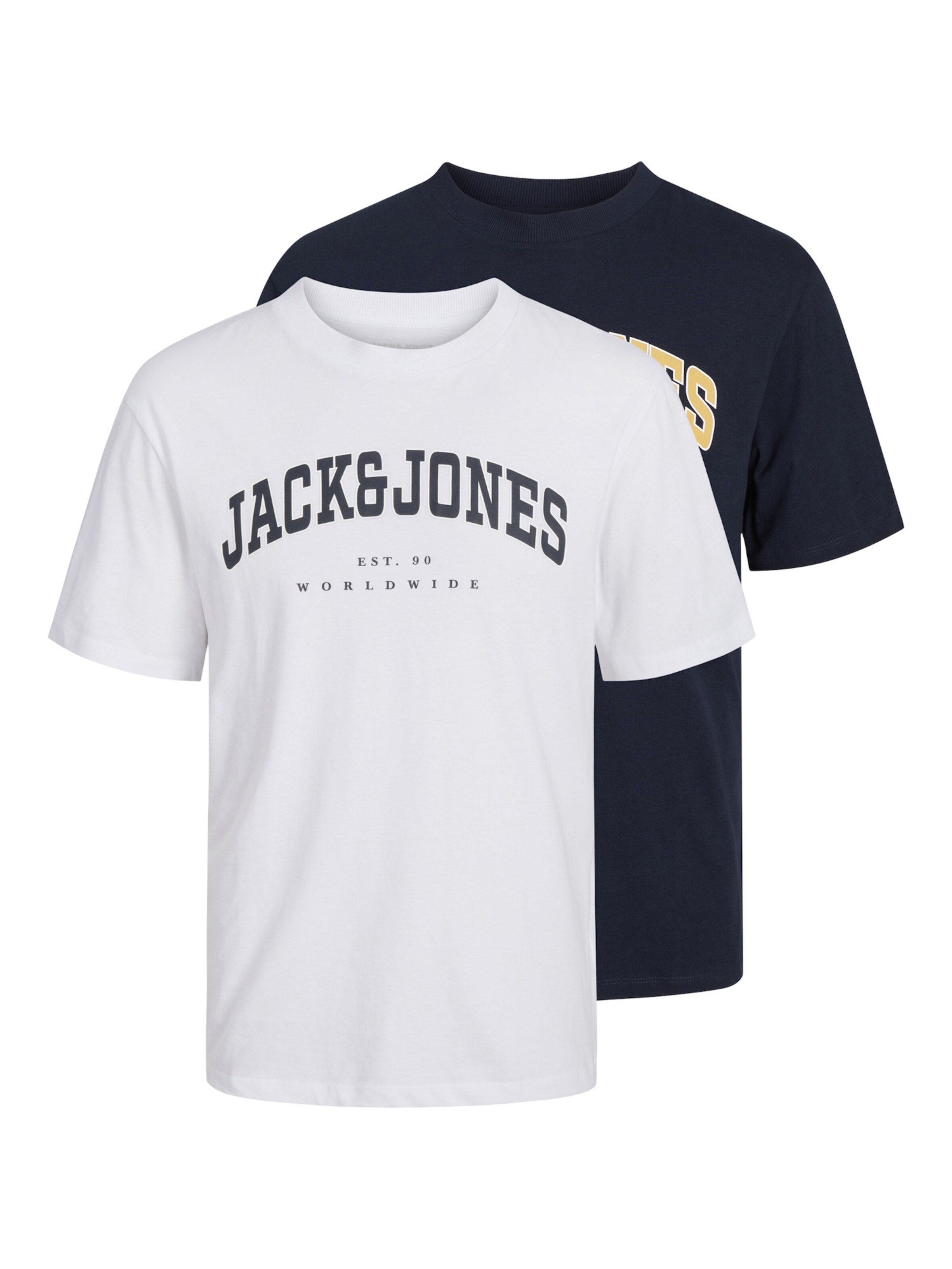 JACK & JONES Shirt 'JJECaleb' in Blue: front