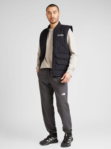 THE NORTH FACE Regular Sporthose in Grau