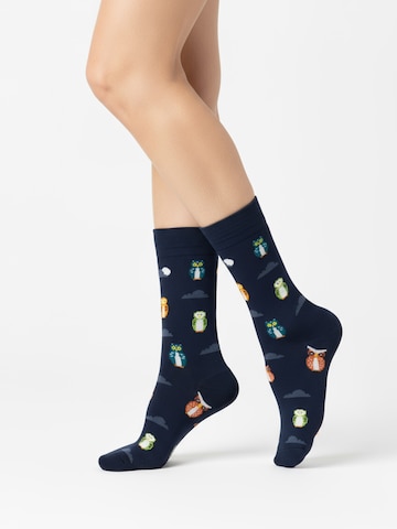 Chaussettes 'DISCOVERY PACK EDITION 7 Unisex' The Arctic Bay en mélange de couleurs