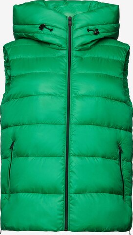 ESPRIT Bodywarmer in Groen: voorkant