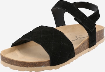 Bianco Strap Sandals 'FIONA' in Black: front