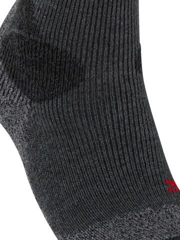 FALKE Athletic Socks 'TK-X Expedition' in Grey