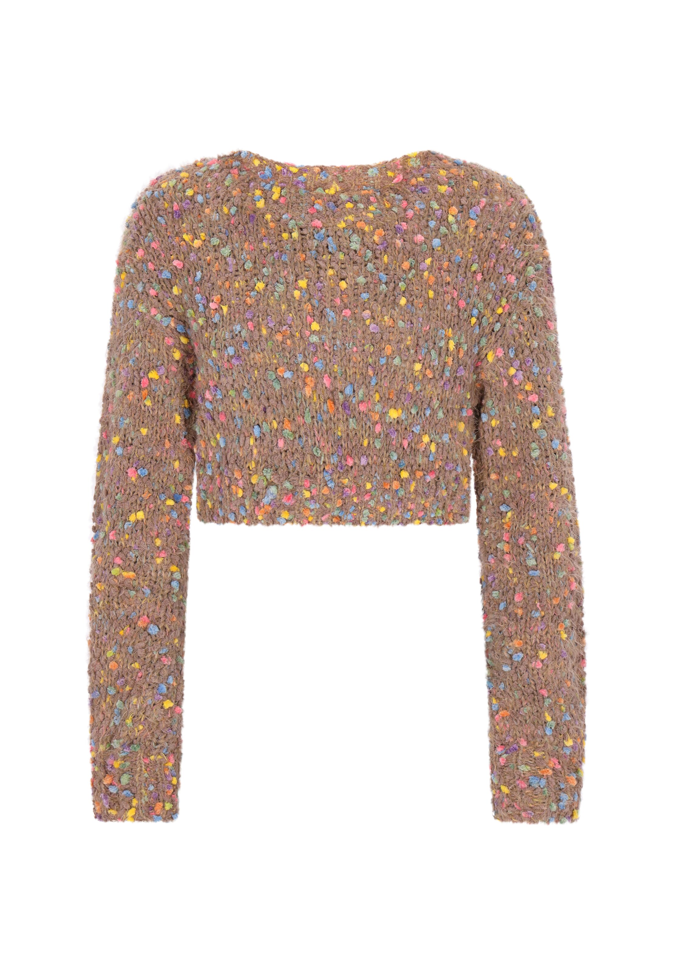 IZIA Trui in Bruin: voorkant