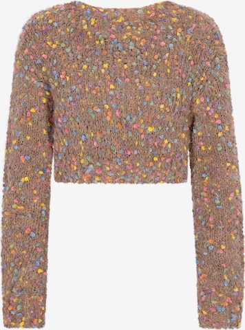 IZIA Trui in Bruin: voorkant