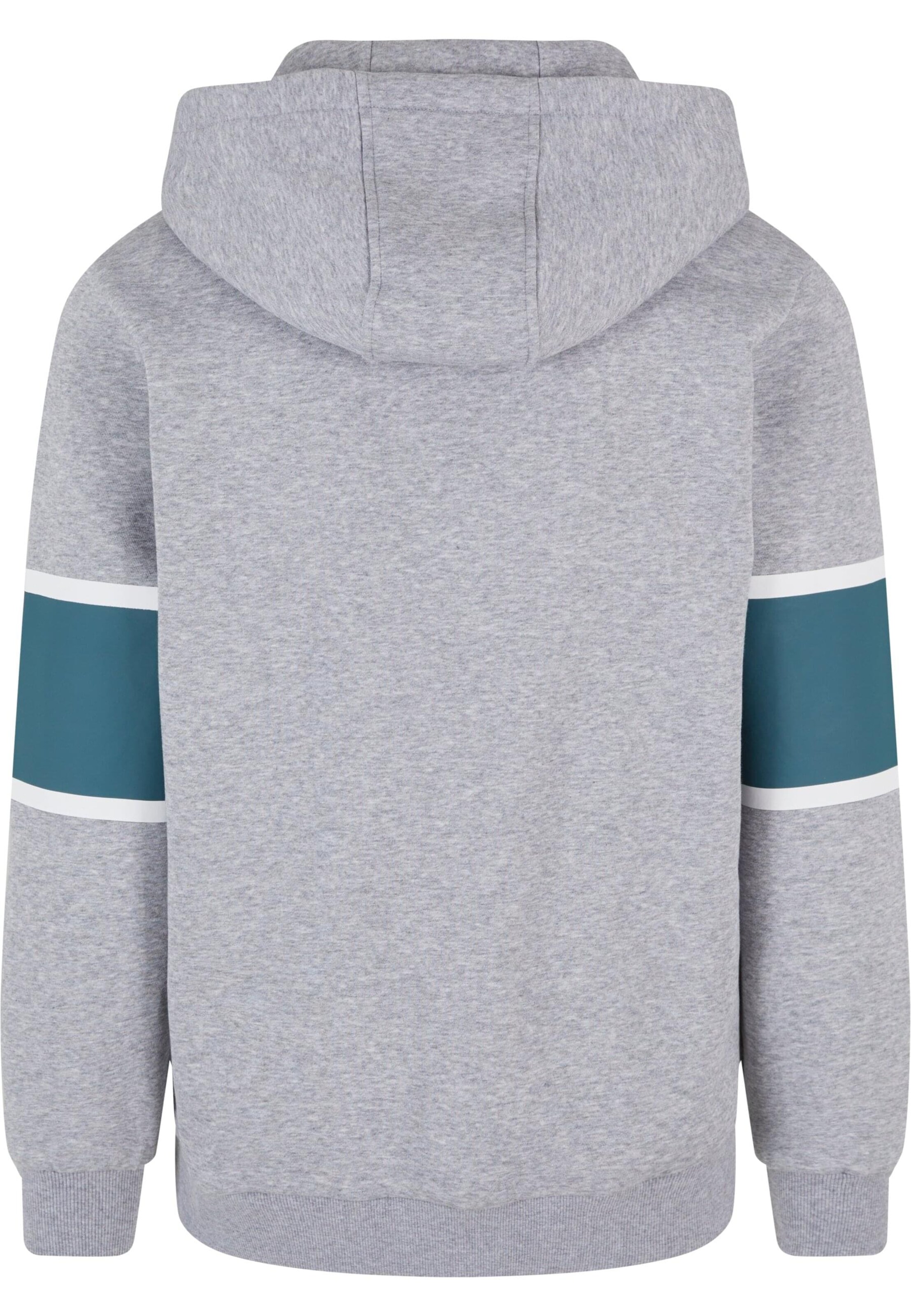 Starter Black Label Sweatshirt i grå