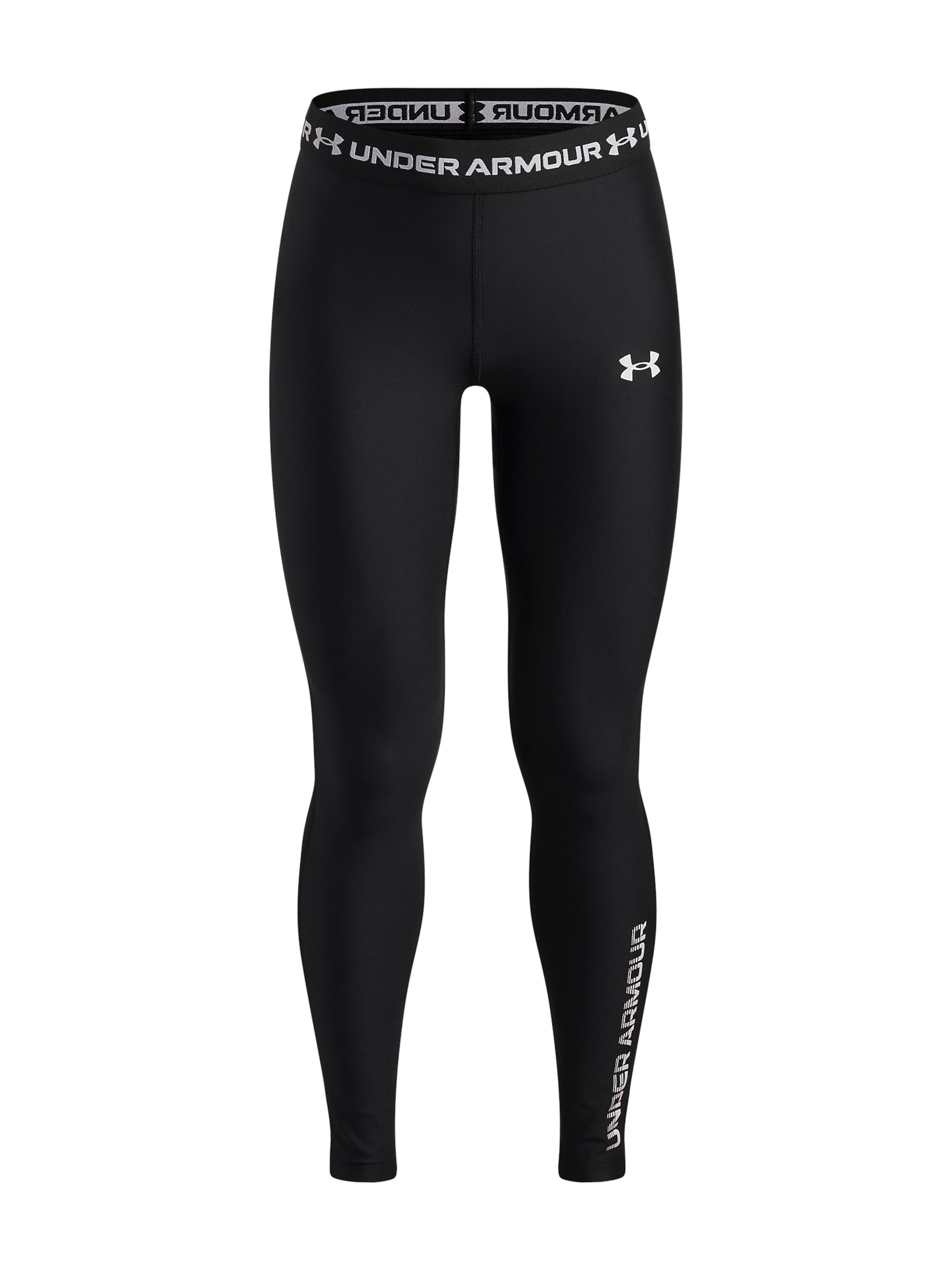 UNDER ARMOUR Skinny Leggings in Black: front