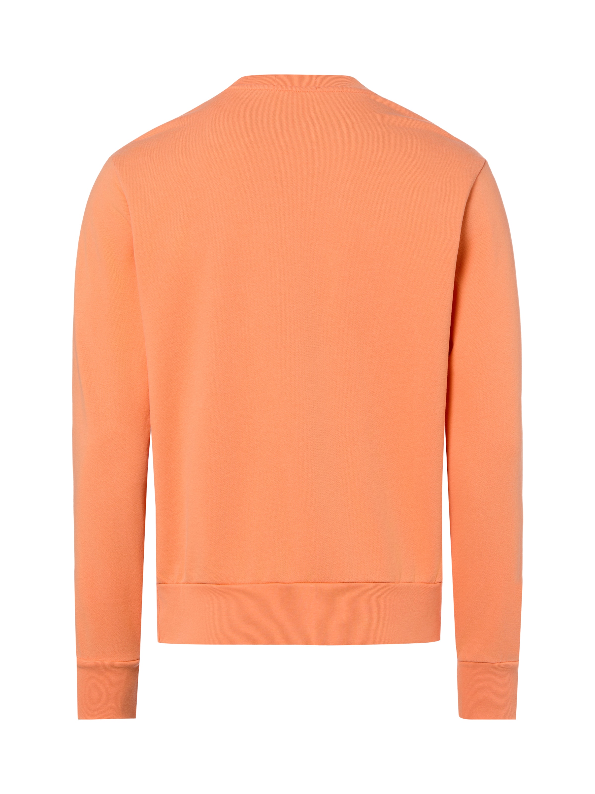 Polo Ralph Lauren Sweatshirt in Orange