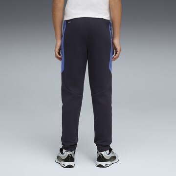 PUMA Regular Trousers in Blue