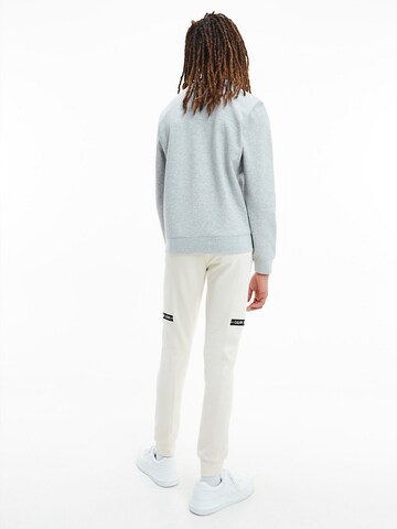 Calvin Klein Jeans Sweatshirt 'INTARSIA' in Grau