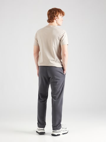 HOLLISTER Regular Trousers 'APAC' in Grey