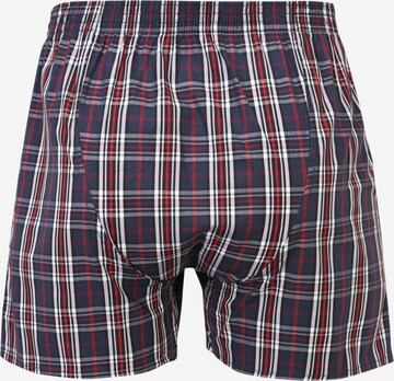 D.E.A.L International Boxershorts 'Check' in Blauw