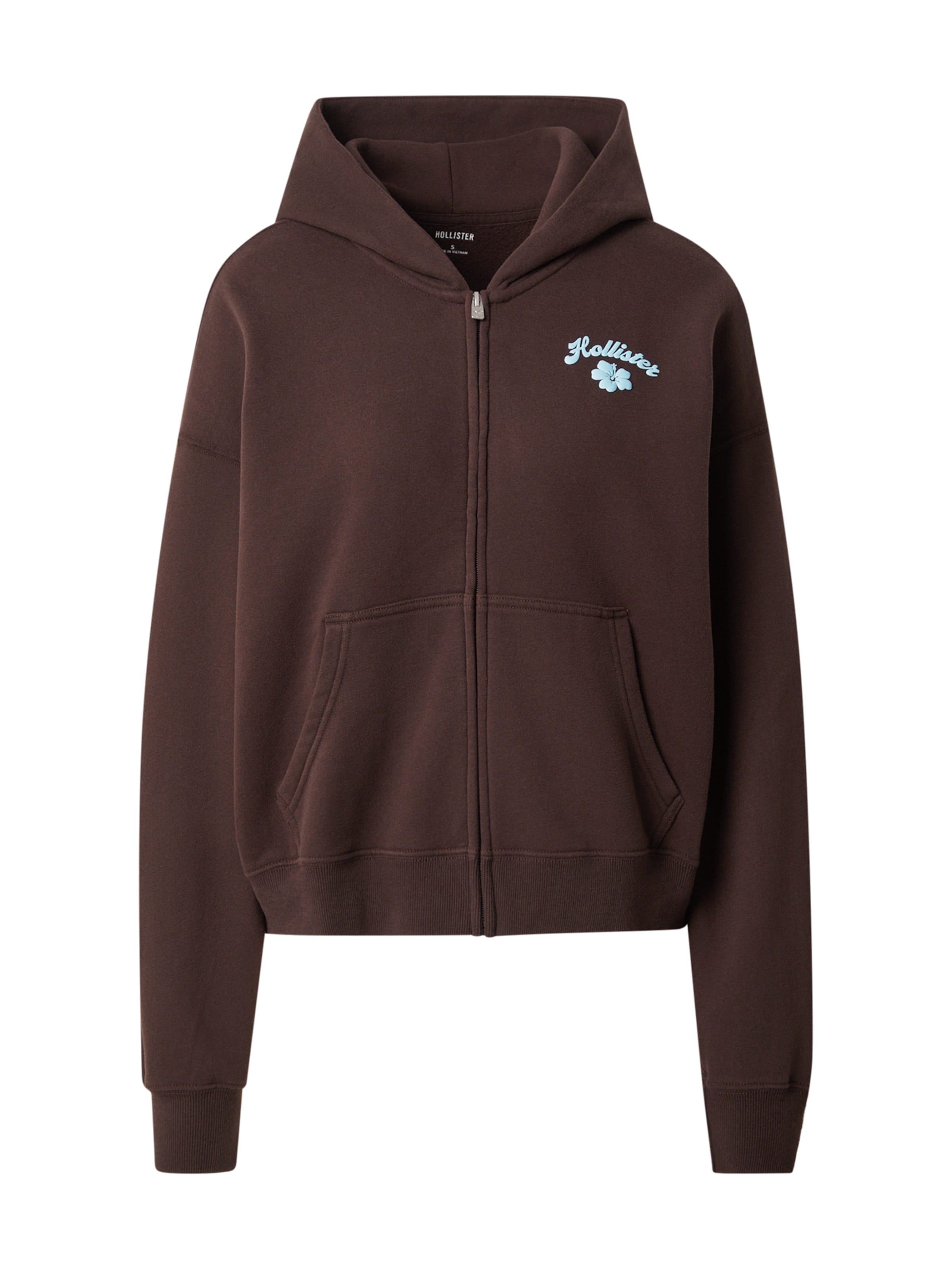 Veste de survêtement HOLLISTER en marron : devant