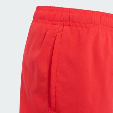 ADIDAS SPORTSWEAR Sportbadeshorts in Rot