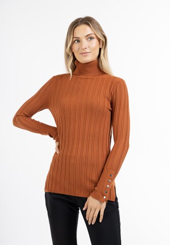 Pull-over 'Iridia' DreiMaster Klassik en marron : devant