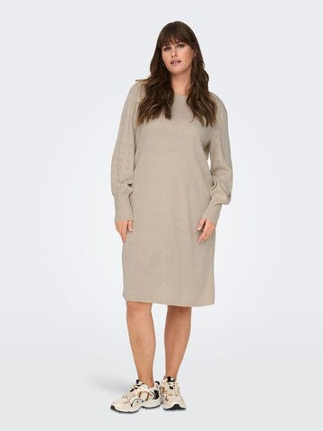 ONLY Carmakoma Gebreide jurk in Beige: voorkant