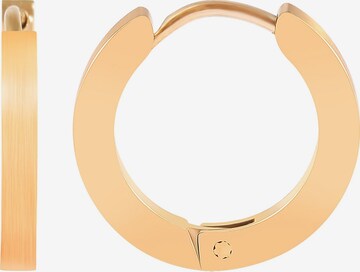Akzent Earrings 'Ario, langlebig' in Gold: front
