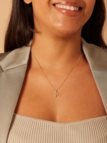 Lucardi Hangers 'Klassisch' in Goud: voorkant