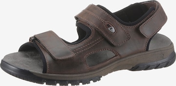 WALDLÄUFER Sandals in Brown: front