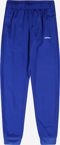 ADIDAS ORIGINALS - Tapered Pantalón en azul: frente