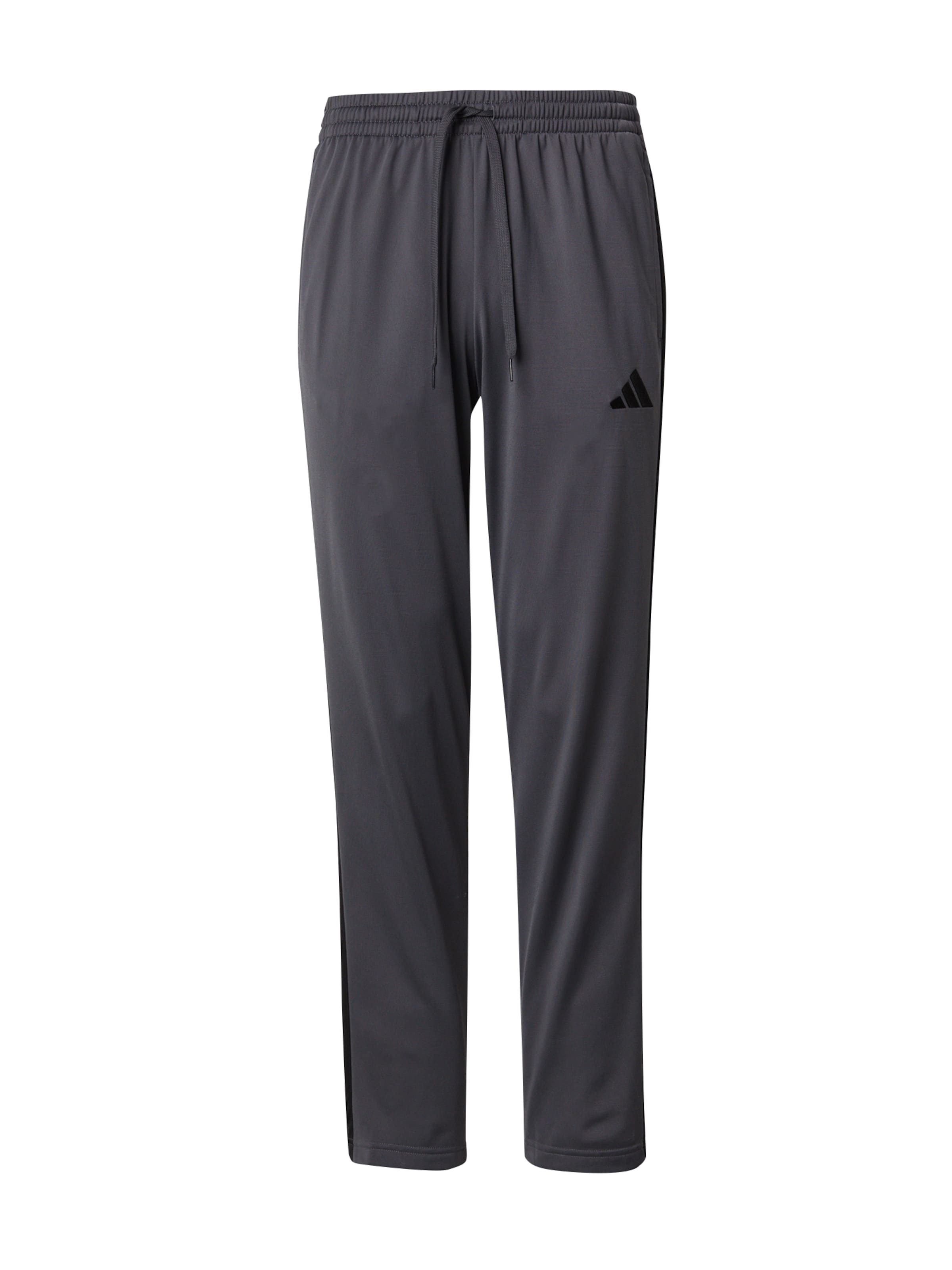 Regular Pantalon de sport ADIDAS SPORTSWEAR en gris : devant